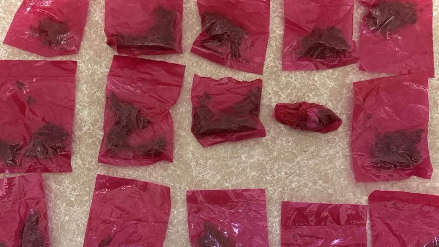 Detienen a tres personas durante operativo del Gobierno de Sonora y SEMAR en Etchojoa